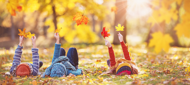 Children lying on the grass with maple leaves in their hands in autumnal park. Concept of the leisure in nature.