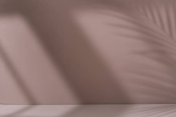 istock Brown aesthetic minimal product placement background 1638849688