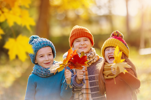 Group of children standing in the autumnal park and holding in their hands bunch of the leaves. Concept of the friendship and family holiday together.
