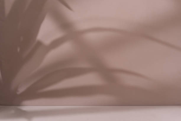 istock Brown aesthetic minimal product placement background 1638852428