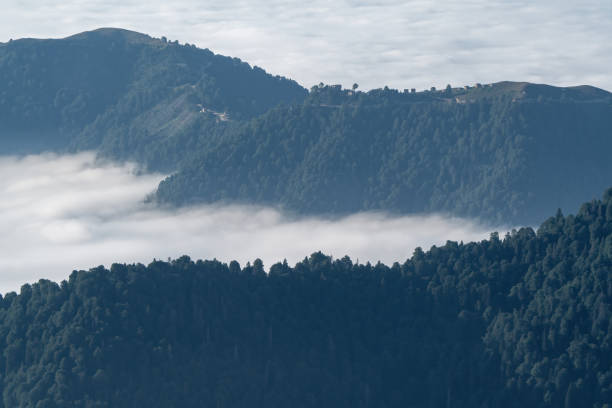 istock Pine forests and cloud sea in Turkey. 1638879847