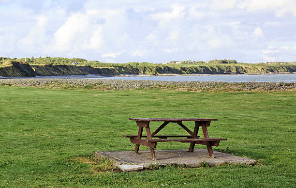 istock Bench in the Park.Ireland 163888932