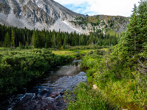 Stream flowing between lush green banks. Indian Peaks Wilderness Area, Colorado.