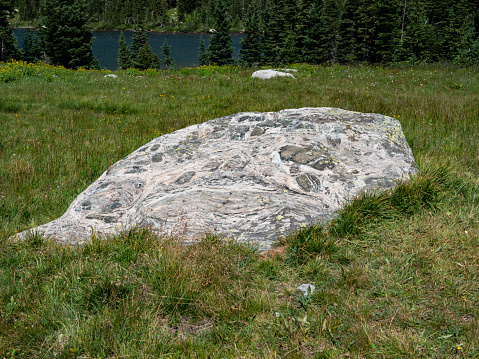 Large gneiss boulder in a green meadow