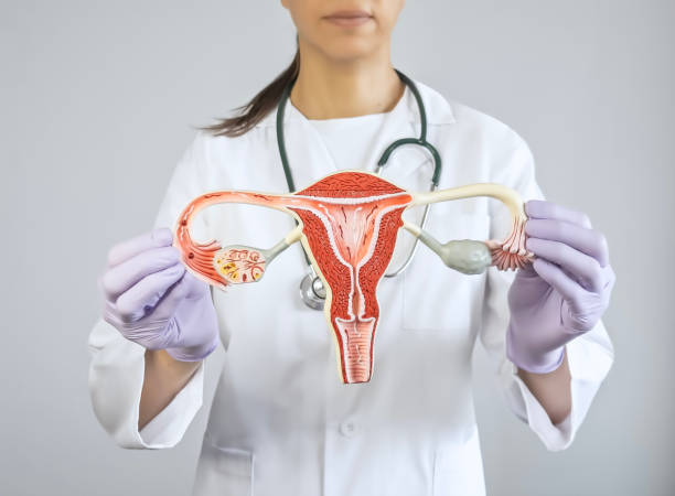 istock Gynecologist showing an ovary model 1638927422
