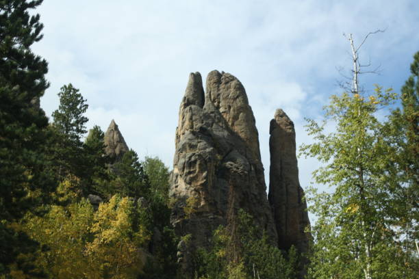 istock Black Hills, South Dakota 1638931681