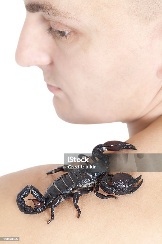 Człowiek z Emperor Scorpion na jego ramieniu - Zbiór zdjęć royalty-free (Bezkręgowce)