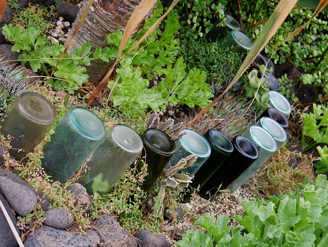 Stock photo showing close-up, elevated view of environmental conservation garden design concept reusing glass bottles as retaining border of a flower bed.