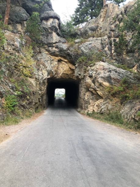 istock Black Hills, South Dakota 1638934364