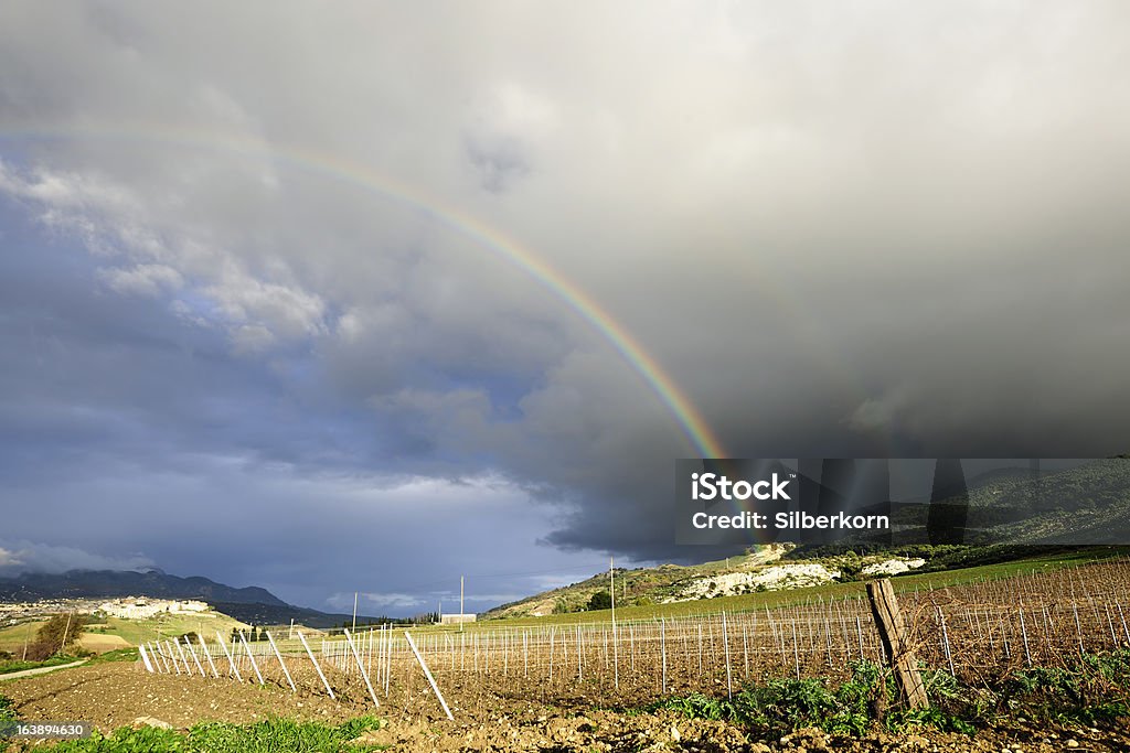 Vinhedos sicilianos inverno paisagem com lindo arco-íris - Foto de stock de Inverno royalty-free