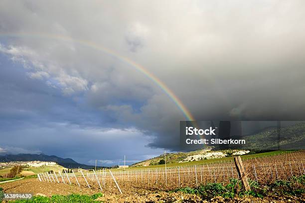 Da Sicília Inverno Paisagem Bonita Vinha Com Arcoíris - Fotografias de stock e mais imagens de Inverno