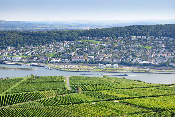 istock Rheingau Riesling Vineyards 163894660