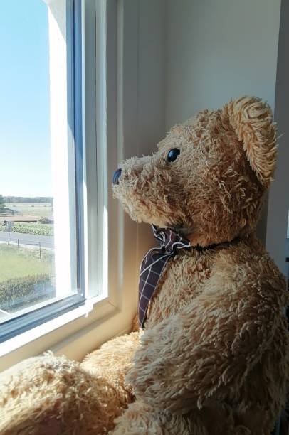 istock Brown teddy bear sits and looks out through a window 1638953701