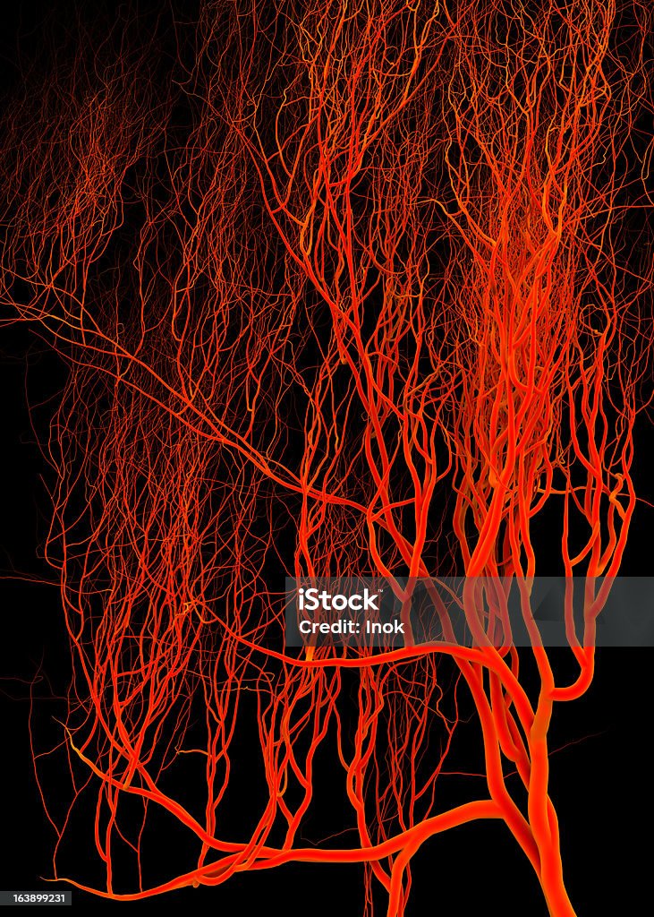 Blood vessels Abstract blood vessels on black background Abstract Stock Photo