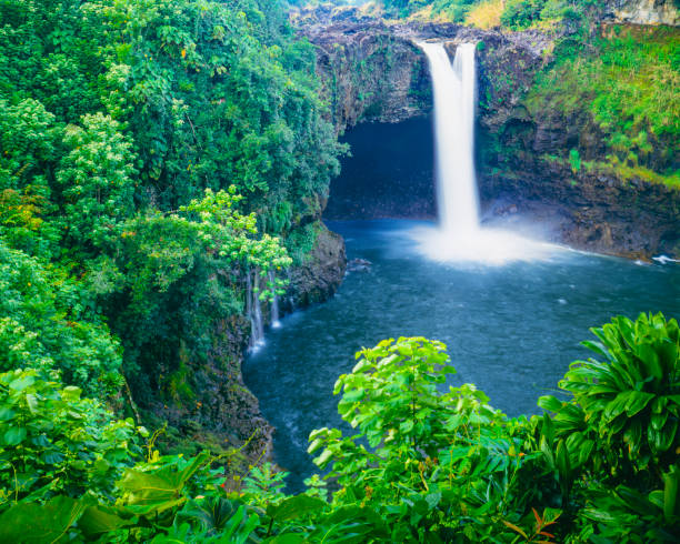 레인보우 폭포, 하와이 - oahu stream hawaii islands tropical rainforest 뉴스 사진 이미지