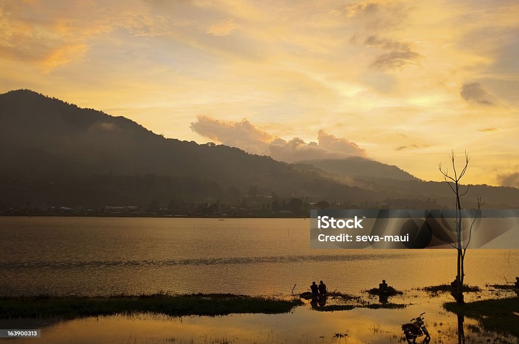 Coucher de soleil tropical - Photo de Arbre libre de droits