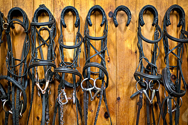 istock Horse bridles hanging in stable 163900402