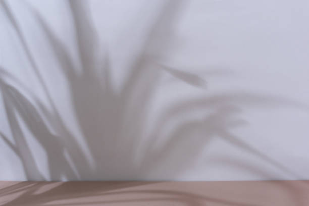 istock Aesthetic brown minimal product placement background 1639017094