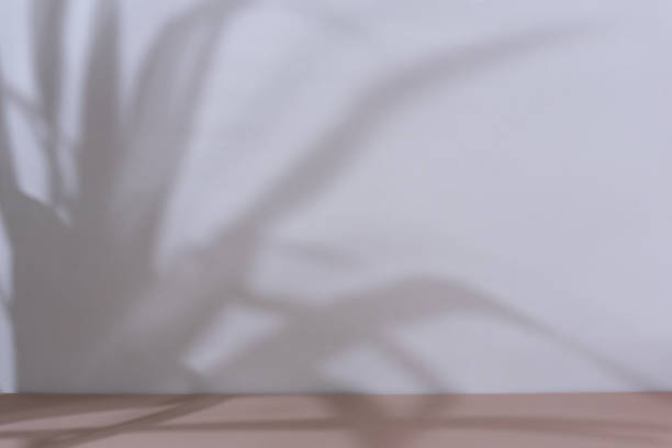 istock Aesthetic brown minimal product placement background 1639017602