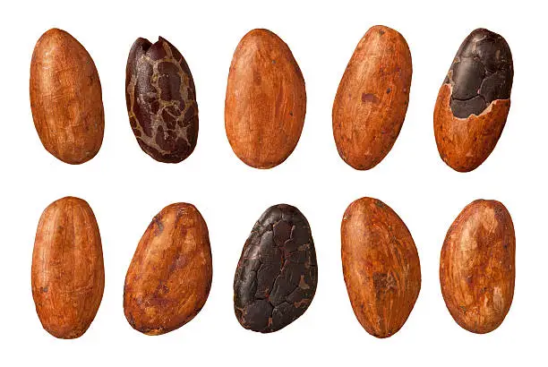 Cocoa Beans with a clipping path