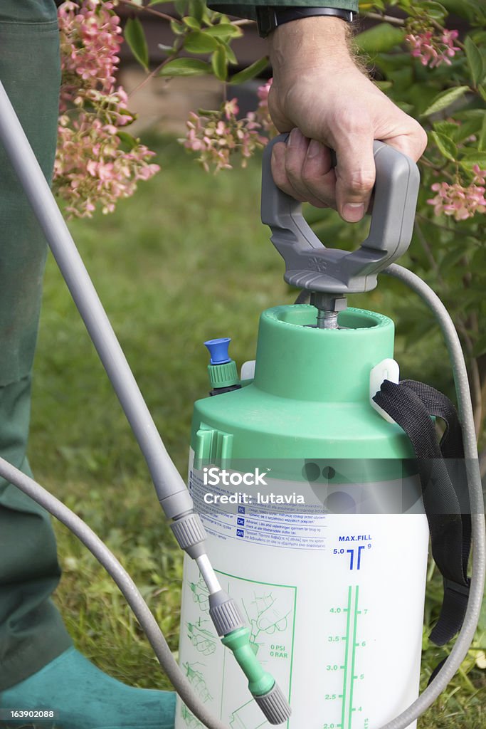 Mann's hand mit einem sprayer und Düngen - Lizenzfrei Desinfizierung Stock-Foto