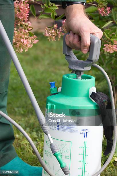 Foto de Homem Com Uma Mão Para Fertilize Borrifador De e mais fotos de stock de Desinfecção - Desinfecção, Pulverizar, Adulto