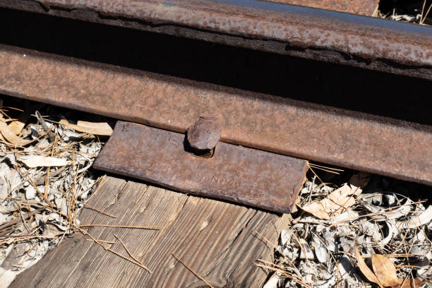 A rusty railroad spike and plate holding rail in place