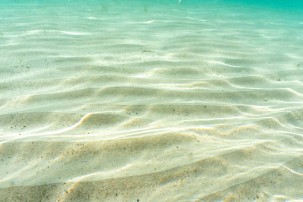 istock Underwater sand with water ripples 1639024519