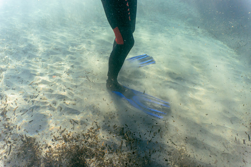 A man stands on the sandy seabed with fins and wetsuit, Antibes