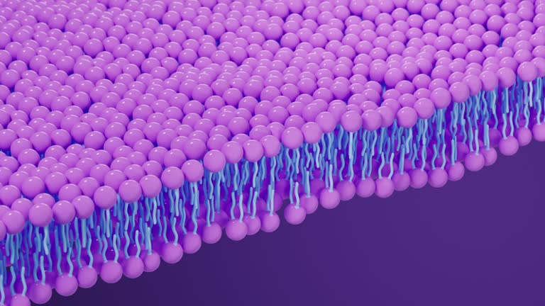 Cell membrane structure background, 3d rendering.