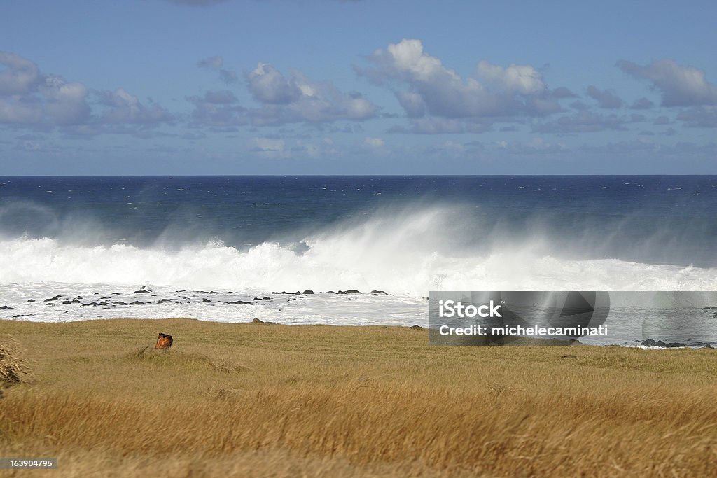 Mar, hierba y las nubes - Foto de stock de Actividades recreativas libre de derechos