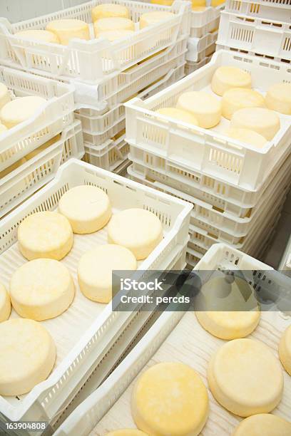 Photo libre de droit de Fromage Au Processus De Maturation banque d'images et plus d'images libres de droit de Fromage - Fromage, Boîte, Industrie