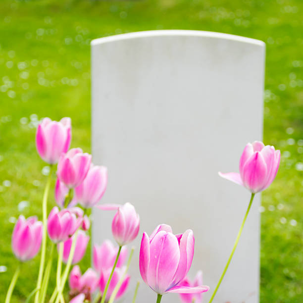 pierre tombale et tulipes - new life death cemetery flower photos et images de collection