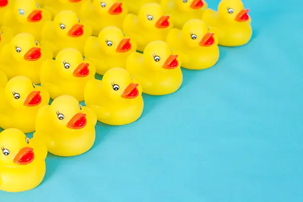 Photo of Many rows of yellow rubber ducks on light blue background.