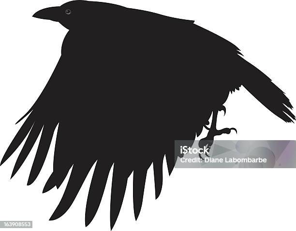 Flying Crow Silhouette Stock Illustration - Download Image Now - Raven - Bird, Flying, Clip Art