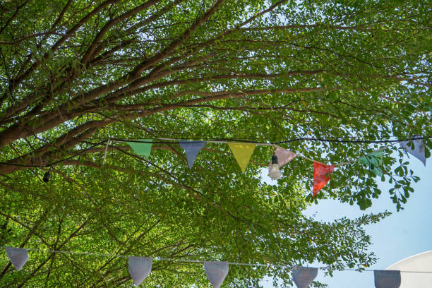 istock colorful flags are put up under the tree during the festival 1639101941