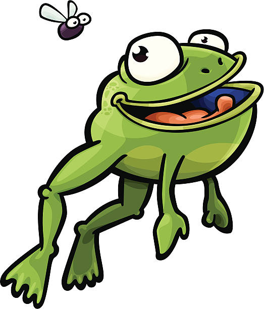 Frog and Fly vector art illustration