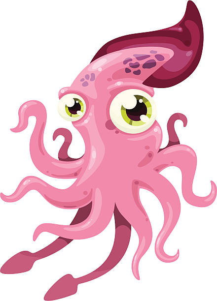 Squid vector art illustration