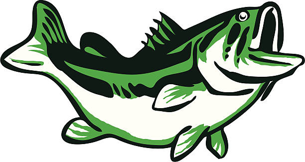 bass wielkogębowy ikonę - minnow stock illustrations