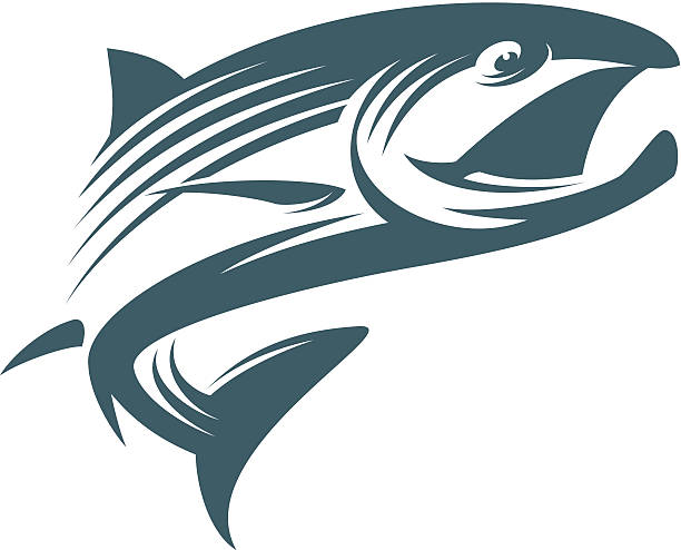 Pesca de salmão - ilustração de arte em vetor