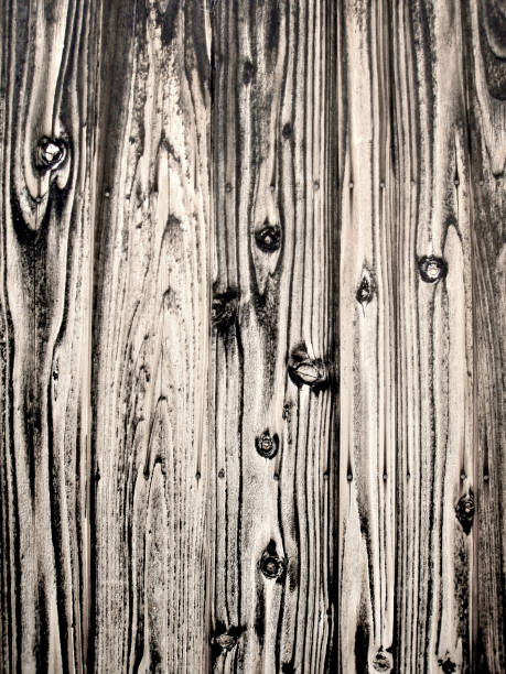 metodo tradizionale giapponese di conservazione del legno. recinzione di legno di cedro carbonizzato "yakisugi", fotografia di immagini ritoccate. - the western wall foto e immagini stock