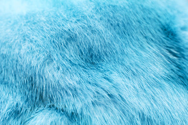 istock Glacier blue dyed mink fur texture with beautiful fur. 1639121472