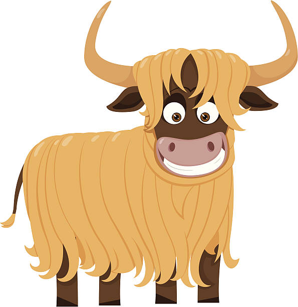 1,708 Yak Hair Stock Photos, Pictures & Royalty-Free Images - iStock