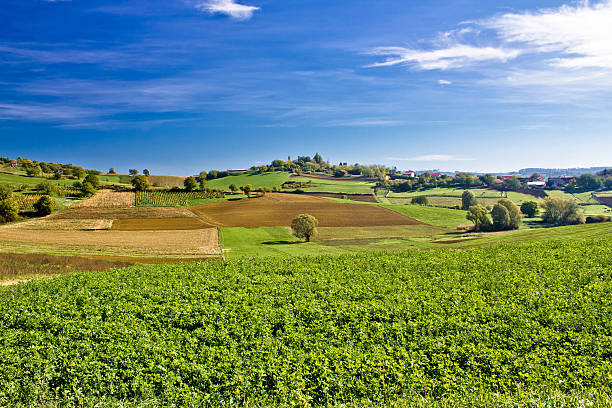istock Beautiful green nature under blue sky 163915154
