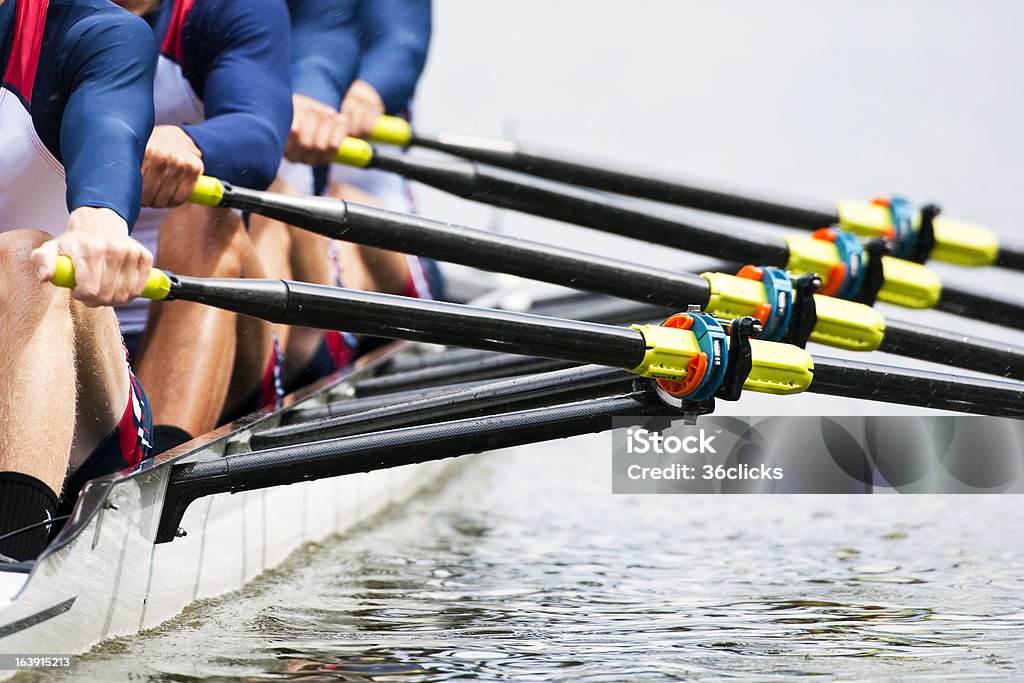 Close up of men's rowing team Close up of a men's quadruple skulls rowing team, seconds after the start of their race Sport Rowing Stock Photo