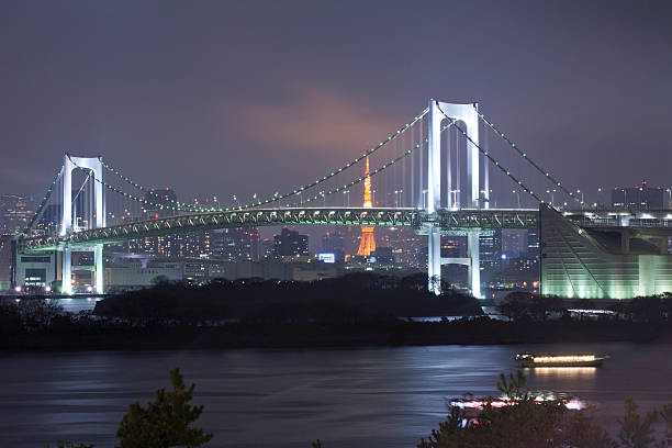 View of Tokyo downtown at night with Rainbow Bridge stock photo