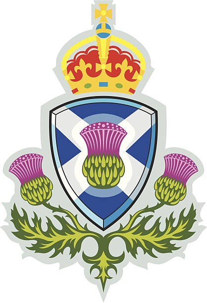 Scottish thistle .Badge of Scotland Vector Scottish thistle .Badge of Scotland Scottish Thistle stock illustrations