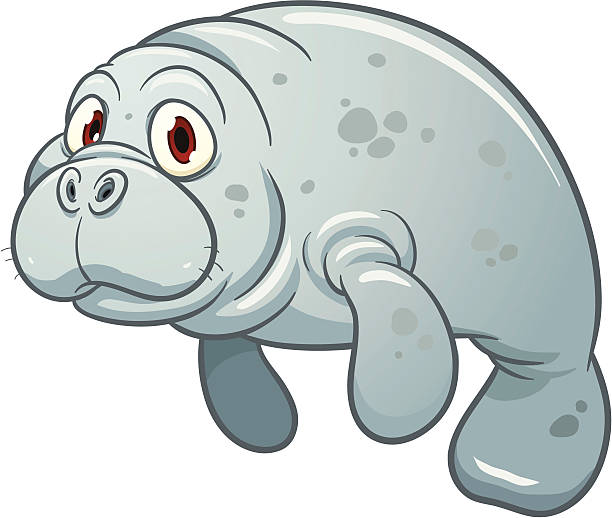 ilustraciones, imágenes clip art, dibujos animados e iconos de stock de manatí de historieta - manatee