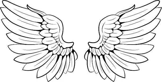 Vector illustration of pair of wings