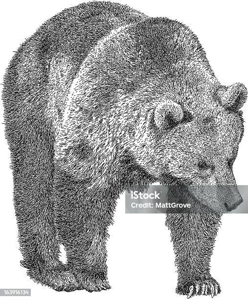 Être À Laffût Des Ours Vecteurs libres de droits et plus d'images vectorielles de Ours - Ours, Croquis, Poils d'un animal